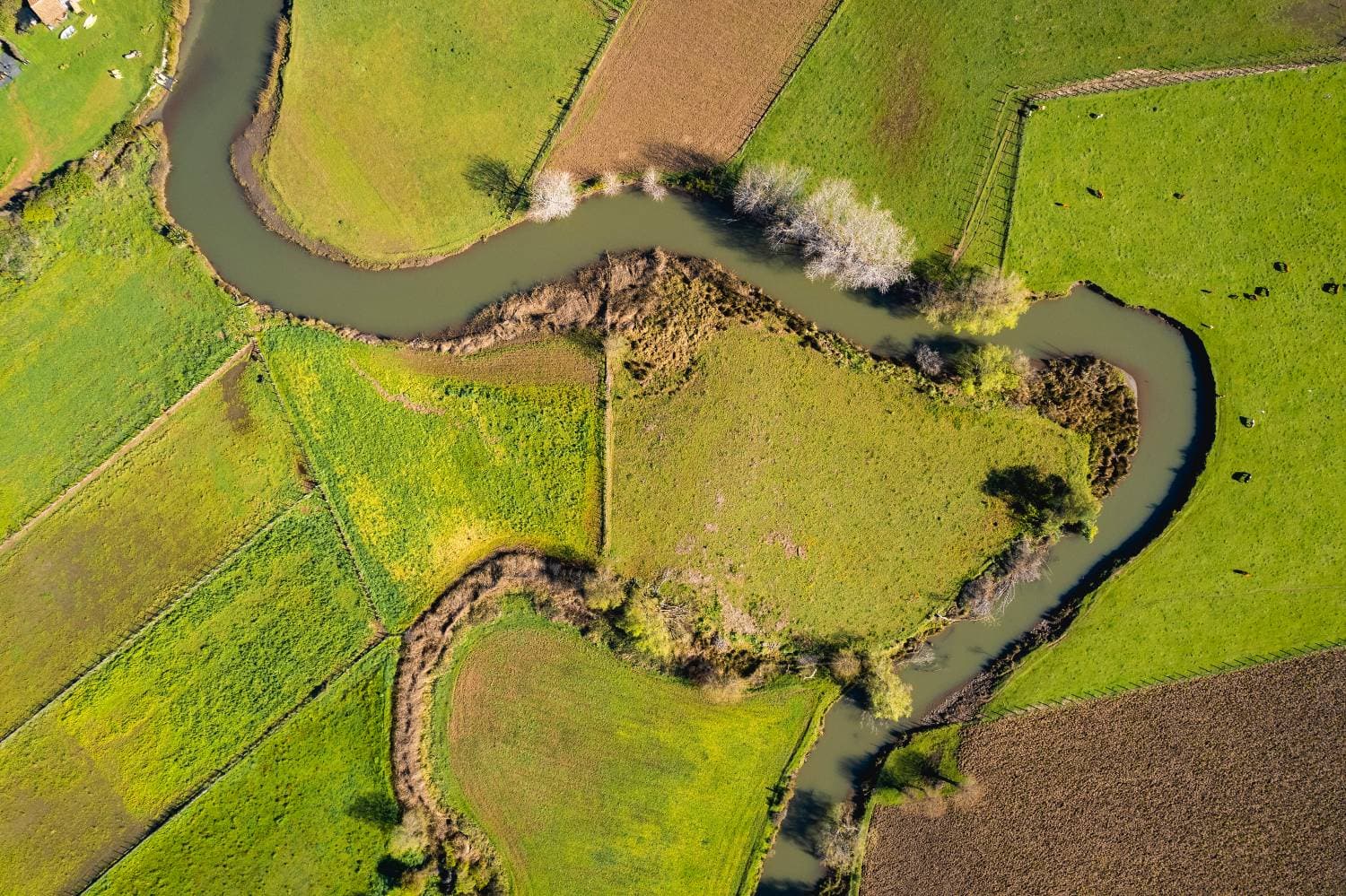 Vista aérea del río serpenteando entre los campos de Buchupureo