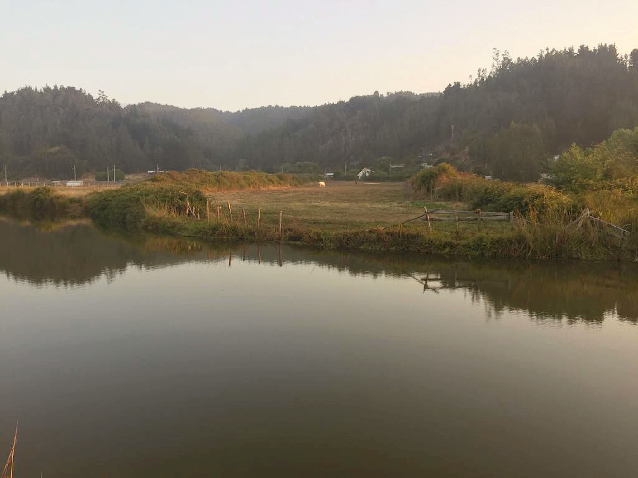 El terreno de Queltehues al amanecer, frente al estero, con los cerros reflejados en el agua